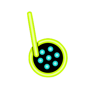 Boba Network