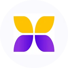 DDMI