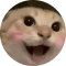 哈基米