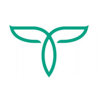 茶链