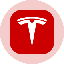 Tesla (Ondo Tokenized Stock)