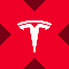 Tesla tokenized stock (xStock)
