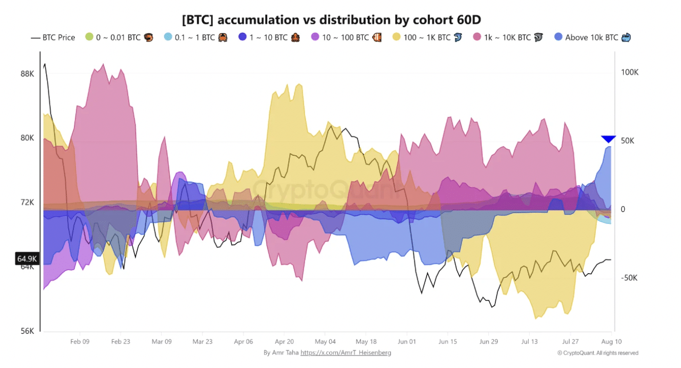 比特币巨鲸增持46,420枚BTC,长期持有者供应下降,$65K能否守住?