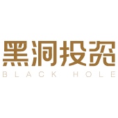 黑洞资本