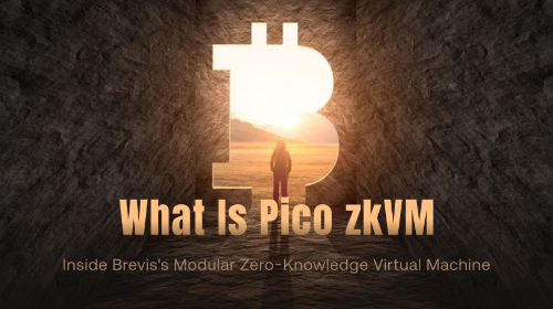Brevis 推出开源模块化 zkVM Pico：融合通用 RISC-V 核心与专用协处理器，实现 10–80 倍证明加速