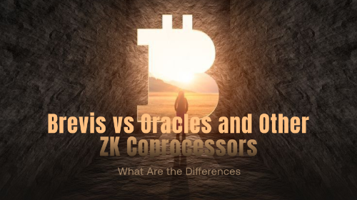 Brevis vs Oracle 全面对比：数据流向、信任机制与计算能力深度解析