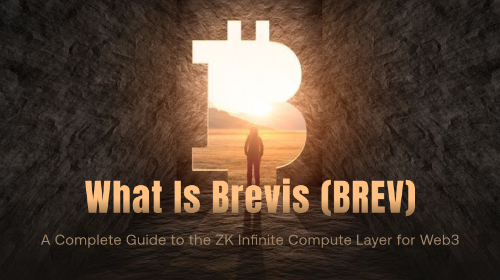 Brevis (BREV) 全面指南：深度解析 Web3 的 ZK 无限计算层